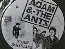 Adam ANT ANTS - RARE 12