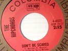 Beach Boys related-The Rip Chords (Bruce Johnston and Terry Melcher) Bunny Hill
