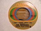 northern soul 45 THE DECISIONS i can't forget about you HEAR sussex