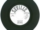 45 RPM, Ernie Maresca, Seville Records 129, Promo, Please Be Fair, Rare Doo-Wop