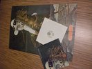 Beggars Opera  „Pathfinder“ Vertigo Swirl Mint Riesenposter