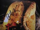 *SIGNED* Peter Buck Solo LP Ltd. ED. SCARCE  REM R.E.M.  Mississippi Records