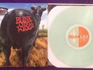 Blink-182 Dude Ranch on Clear Vinyl Limited To 250 Blink 182 Angels and Airwaves