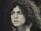 MARC BOLAN/TYRANNOSAURUS REX A BEARD OF STARS 1970 VINYL ALBUM