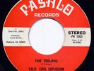 Funk 45 CALIF. SOUL EXPLOSION - The Feeling / Chain Of Fool - Hear