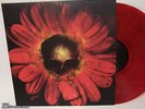 WarHorse STONER DOOM The Priestess METAL SOUTHERN LORD 12