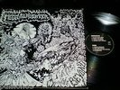 megaslaughter calls from the beyond sororicide excruciate wombbath entombed