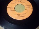 JUVENILES - I WISH I COULD - ZAP 1004 - COND VG+  RARE UNKNOWN MARYLAND GROUP