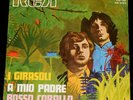 I GIRASOLI    --- a mio padre  ---