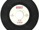 THE ORPHANS AKA AL'S UNTOUCHABLES VERY RARE 45