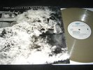 Rage Against The Machine-1st LP RARE BROWNISH VINYL epic/TOOL