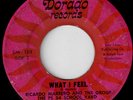 Ricardo Marrero What I Feel Dorado Boogaloo Rare  Listen
