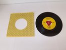 GARAGE MOD 45 Record THE REMAINS My Babe EPIC 9783 NM