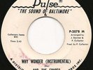 Doc & Echoes - Why Wonder - Pulse WD - N/SOUL