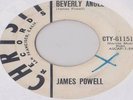 Pre Creedence Clearwater - Blue Velvets auf James Powell Single - Absolut Rar 