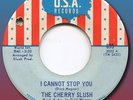 CHERRY SLUSH I CANNOT STOP YOU USA CHICAGO GARAGE PSYCH ROCK 45 ? DICK WAGNER