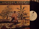 anthony white-could it be magic- original  promo lp