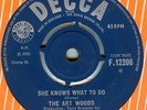 THE ART WOODS*SHE KNOWS WHAT TO DO*GOODBYE SISTERS*HEAR BOTH