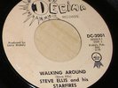 RARE 1965 MN Folk Rock 45 - STEVE ELLIS & THE STARFIRES 