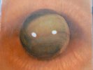 BRAZIL PROGRESSIVE FOLK PSYCH TOM ZE TODOS OS OLHOS GRUPO CAPOTE ORIGINAL LISTEN