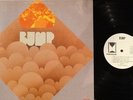 BUMP 's/t' - LP