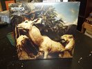Interpol--OUR LOVE TO ADMIRE-SEALED-NEW Gatefold +CD Lp