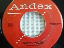 THE RAIDERS Hocus Pocus ANDEX 4015 Original Promo 45 Killer Rockabilly