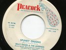 killer R&B Billy Davis SPUNKY ONIONS listen WILD R&B ROCKER goodbye jesse DANCER