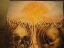 MOODY BLUES IN SEARCH OF LOST CHORD 180 Gram VINYL LIMITED EDITION Sealed LP