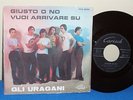 BEAT COVER IN ITALIANO  THE WHO INTROVABILE 7