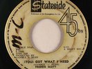 Funk 45 FREDDIE SCOTT (You) Got What I Need on Stateside