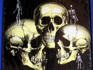 SKULL SNAPS-Original 1973 Near Mint LP/GSF Records 1011