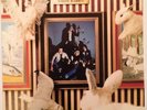 The Damned White Rabbit 3 Track RARE French Issue 7