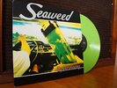 Seaweed SPANAWAY LP Hollywood Records Merge Records Nirvana Paw Tad Epitaph