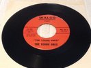THE YOUNG ONES   60'S CALIFORNIA GARAGE PSYCH 45  NM