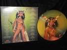 CHER TAKE ME HOME CASABLANCA PICTURE DISC