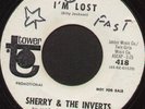 Rare 60's Northern Soul 45 - SHERRY & THE INVERTS (Tower)  *Listen*