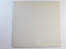 Vinyl - Rarität The Beatles “White Album”