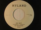 THE RUN-AROUNDS Detroit teen/doo wop 45 OH WHY / SUCH A NIGHT  HYLAND VG++ to M-