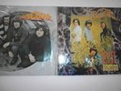 The Seeds Sky Saxon 2 LPs evil hoodoo / fallin´off the edge Vinyl