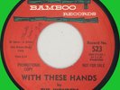 WONDERS With These Hands / Please Don't Cry 45rpm Bamboo 1962