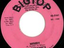 The Dynamics : Northern Soul 45 on Bigtop 