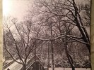 Bruce Cockburn /Canada Press .. high winds white sky/ True North TN 3 Circa 1971