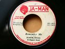 JUNIOR BYLES & RUPERT REID-Remember Me-/JA-MAN (DSLH 2661) ORIG roots monster 7”