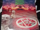MORBID ANGEL - Domination LP 1st press 1995  Terrorizer Deicide Suffocation