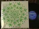 EL TARRO DE MOSTAZA MEXICAN HARD ACID PSYCH PROG RIPPER LP 1970 LISTEN POKORA