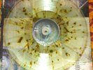Chuck Ragan Gold Country /300 Splatter Austin Lucas Gaslight Anthem  Hwm