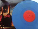 Pink Floyd ANIMALS Phillipines  BLUE MARBLE VINYL LP. Mint.