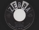'61 Southern White Doowop CATALINAS Hey Little Girl/Hey Senorita M- HEAR BOTH