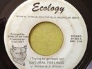 Sins Of Satan modern soul funk 45 (Trying To Get Back To) Natural Feelings